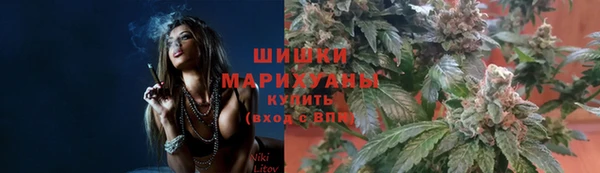 ECSTASY Заводоуковск