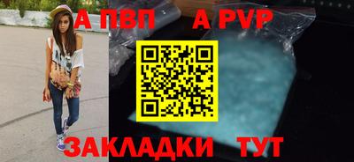 стаф Гай