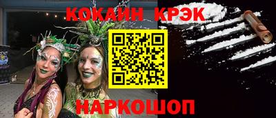 стаф Гай