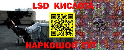 стаф Гай