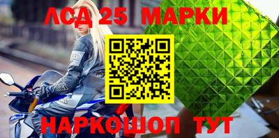 стаф Гай