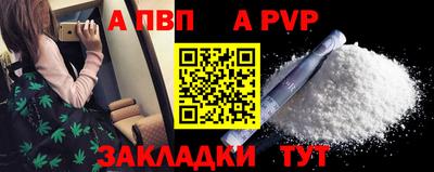 стаф Гай
