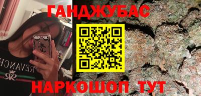 стаф Гай