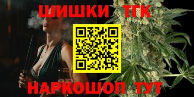 стаф Гай