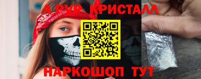 стаф Гай