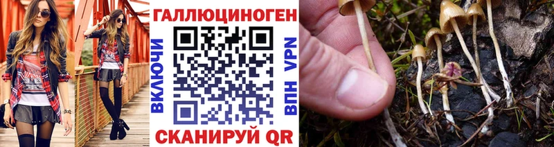 Псилоцибиновые грибы Magic Shrooms  Ипатово 