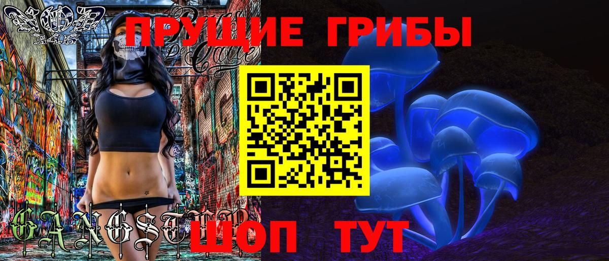 Псилоцибиновые грибы Psilocybe  Псилоцибиновые грибы мухоморы  Ипатово 